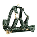 Dog Collar Dog Collar Hand Holding Rope Pet